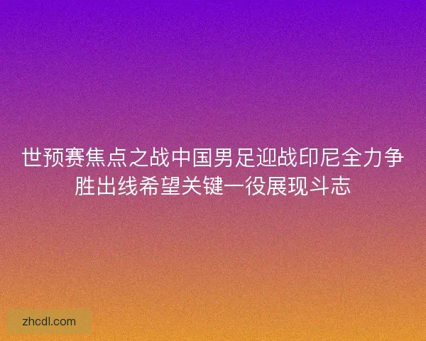 世预赛焦点之战中国男足迎战印尼全力争胜出线希望关键一役展现斗志